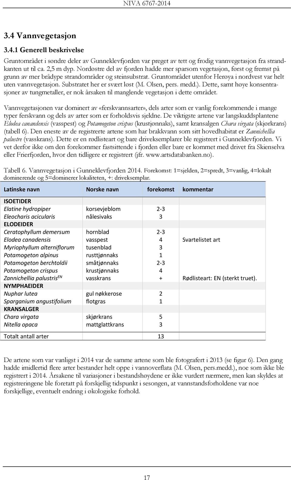 Substratet her er svært løst (M. Olsen, pers. medd.). Dette, samt høye konsentrasjoner av tungmetaller, er nok årsaken til manglende vegetasjon i dette området.