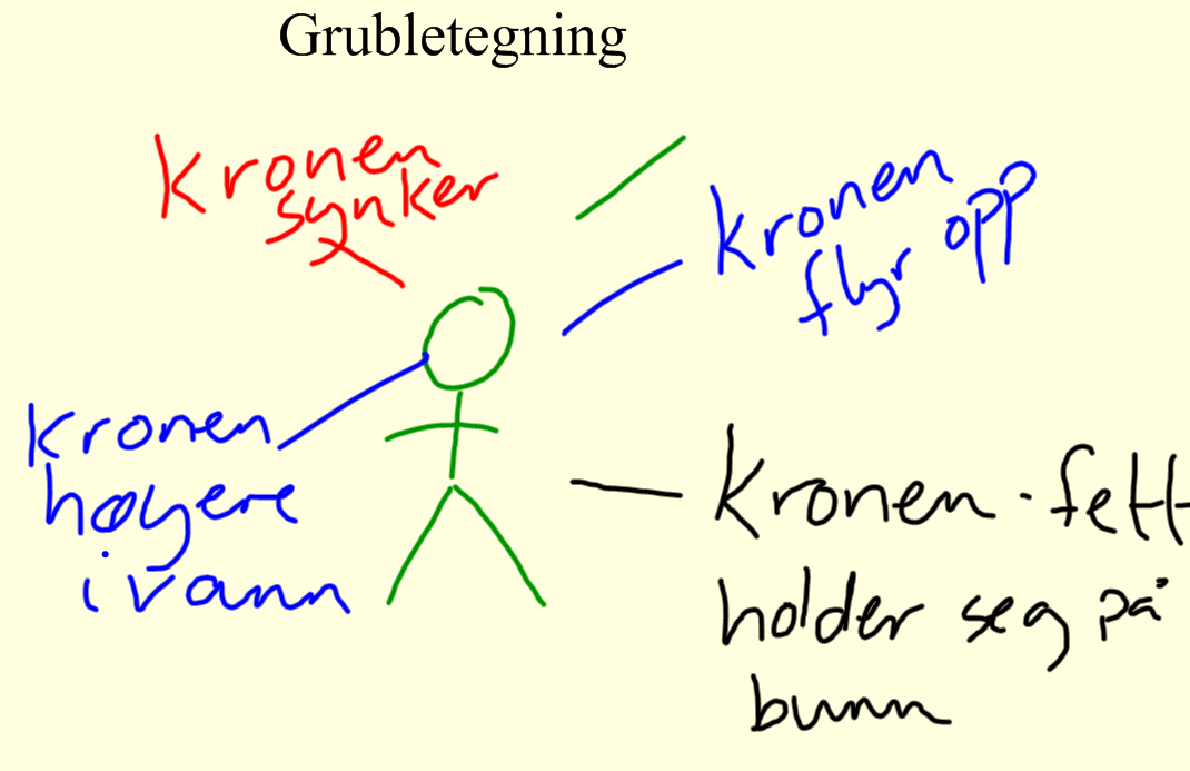 Vi laget også en grubletegning ut fra hva elevene trodde kom til å skje.