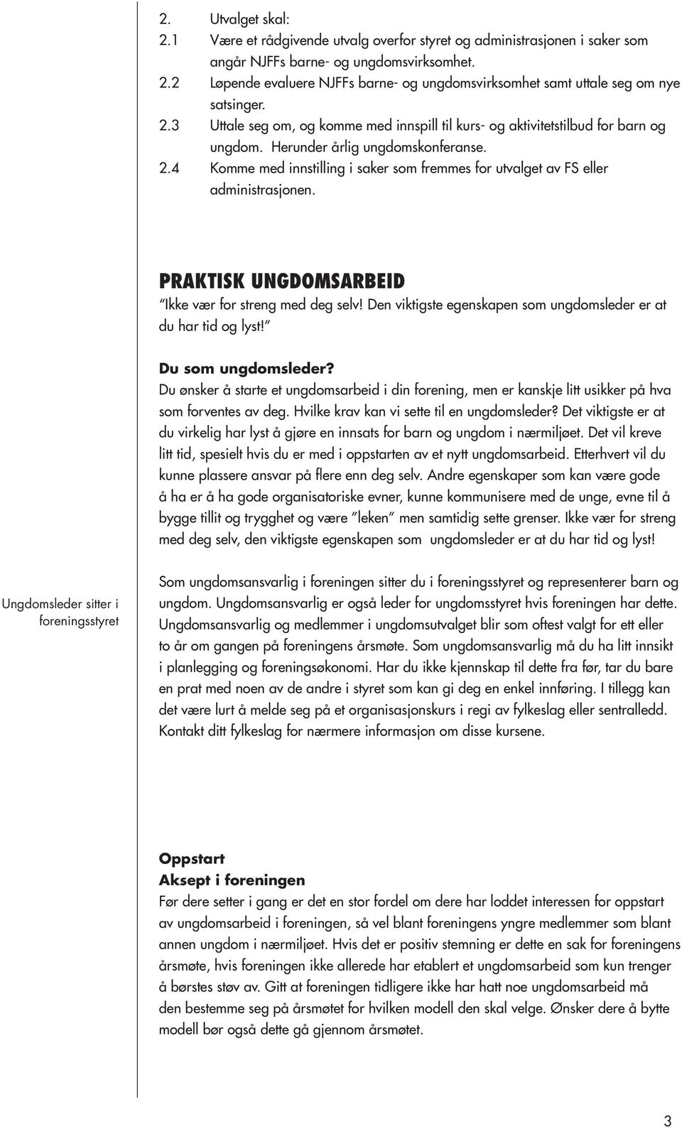 4 Komme med innstilling i saker som fremmes for utvalget av FS eller administrasjonen. PRAKTISK UNGDOMSARBEID Ikke vær for streng med deg selv!