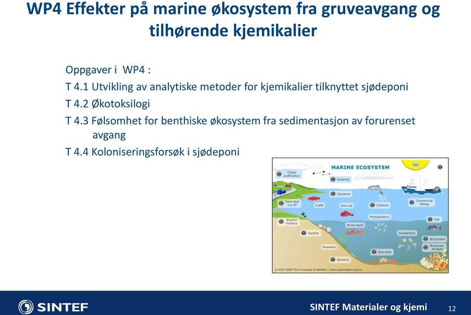 1 Utvikling av analytiske metoder for kjemikalier tilknyttet sjødeponi T 4.