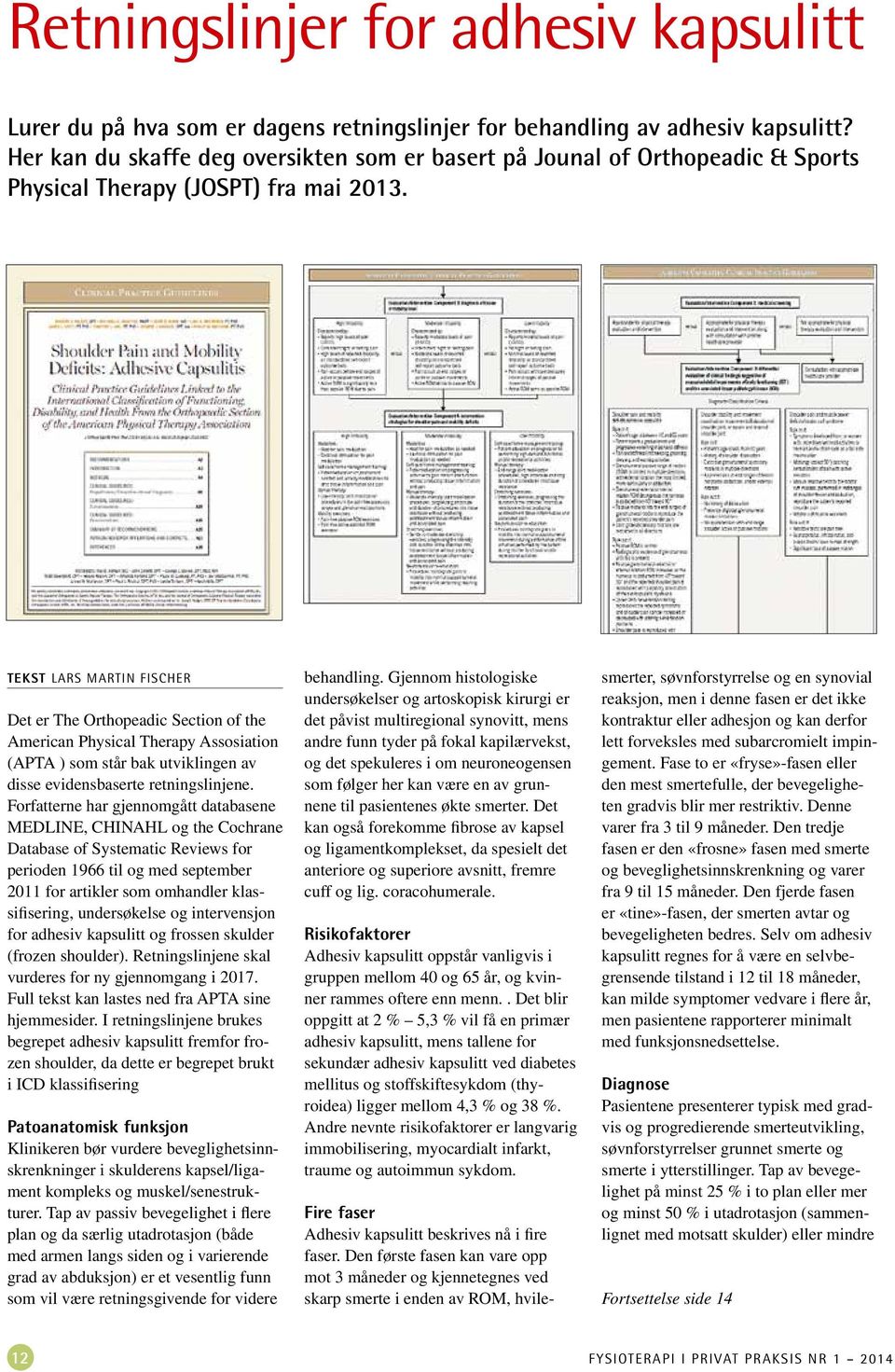 Tekst Lars Martin Fischer Det er The Orthopeadic Section of the American Physical Therapy Assosiation (APTA ) som står bak utviklingen av disse evidensbaserte retningslinjene.