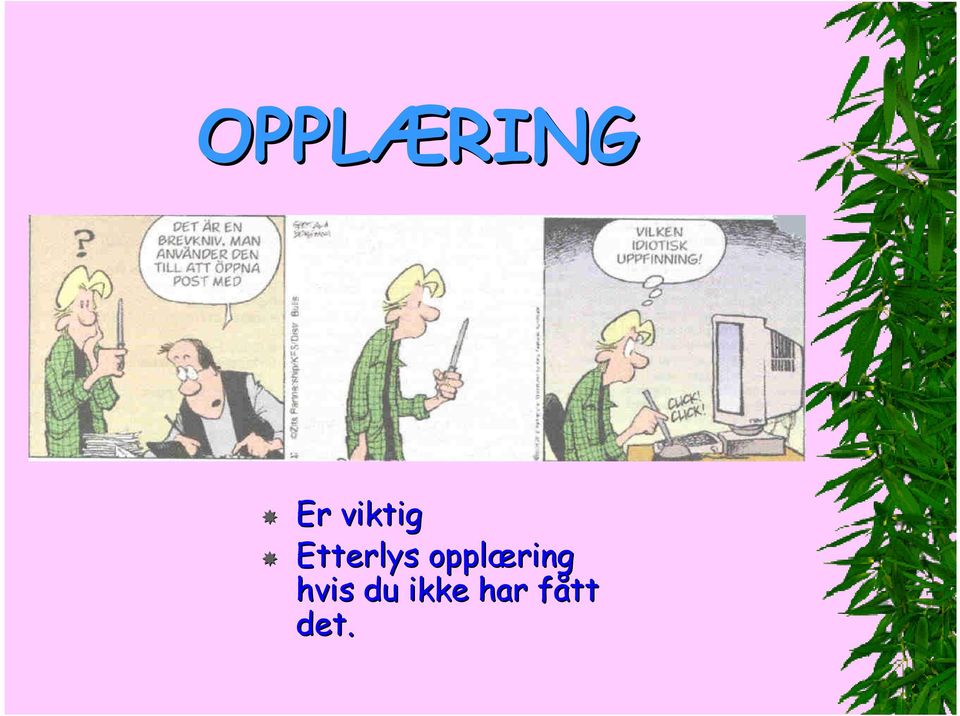 opplæring hvis