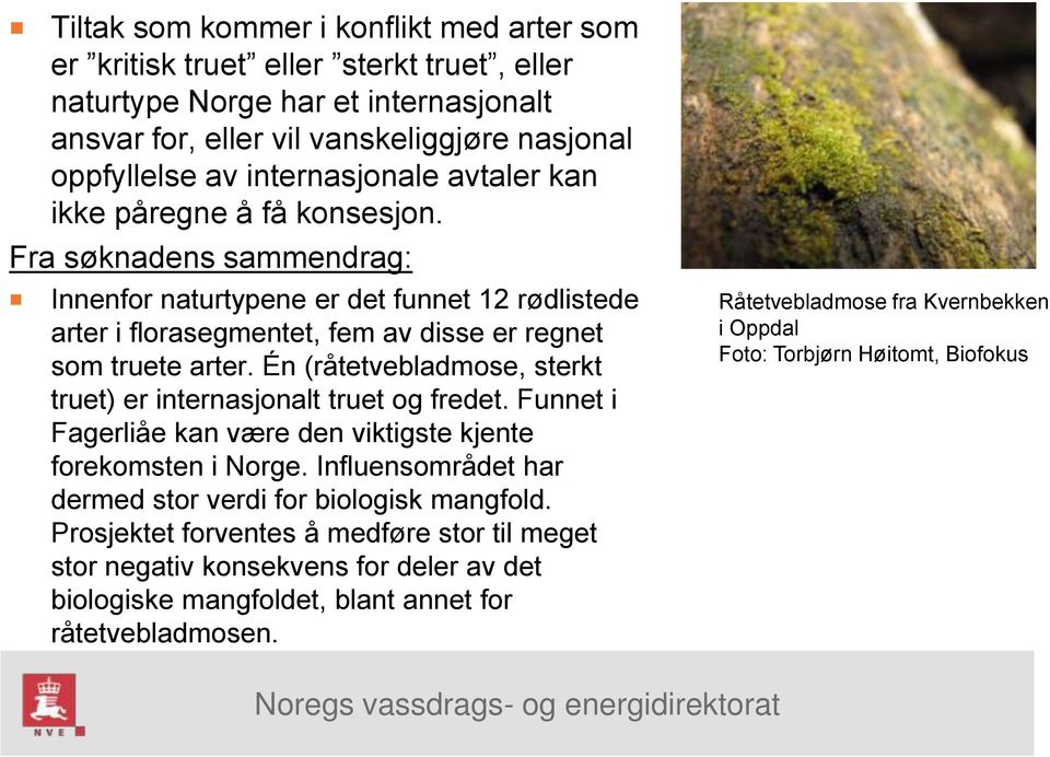 Én (råtetvebladmose, sterkt truet) er internasjonalt truet og fredet. Funnet i Fagerliåe kan være den viktigste kjente forekomsten i Norge.