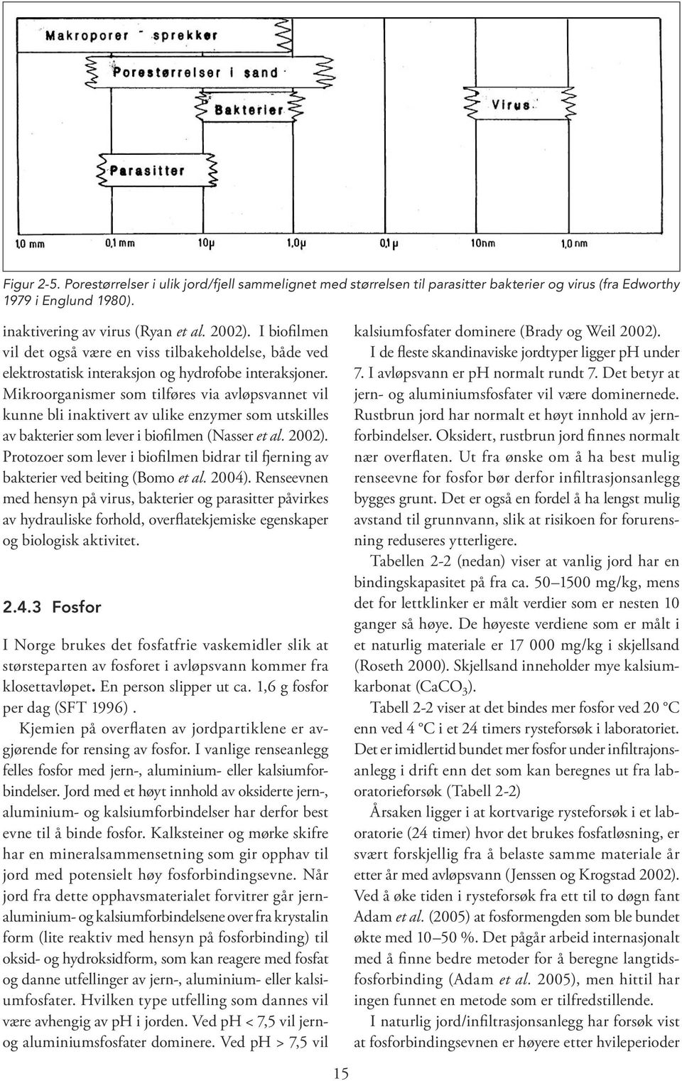 Mikroorganismer som tilføres via avløpsvannet vil kunne bli inaktivert av ulike enzymer som utskilles av bakterier som lever i biofilmen (Nasser et al. 2002).