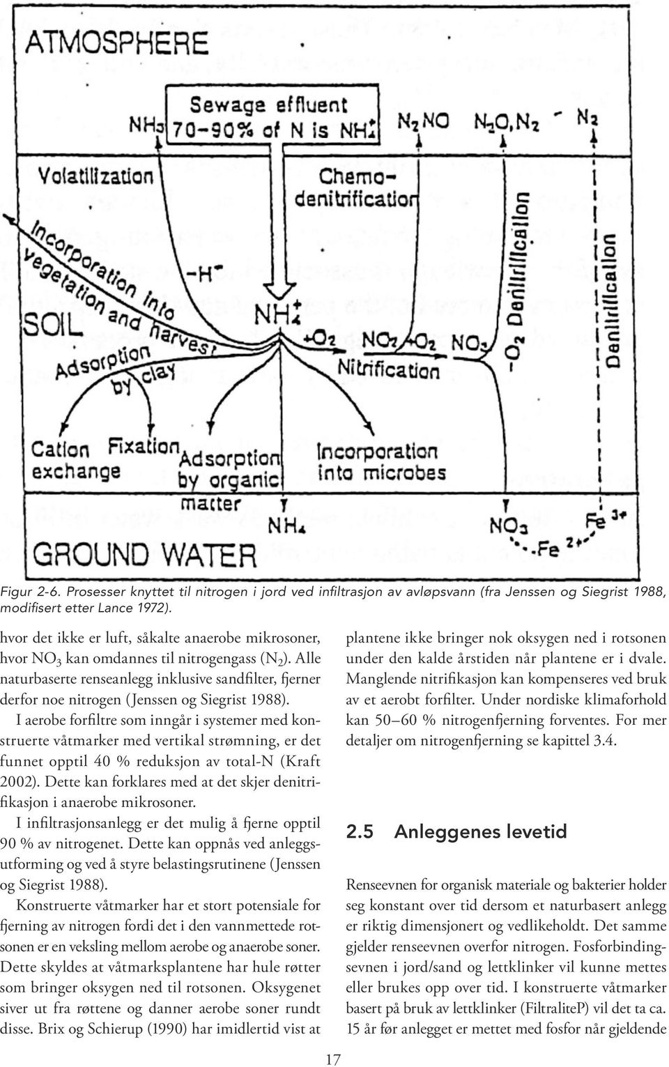 Alle naturbaserte renseanlegg inklusive sandfilter, fjerner derfor noe nitrogen (Jenssen og Siegrist 1988).