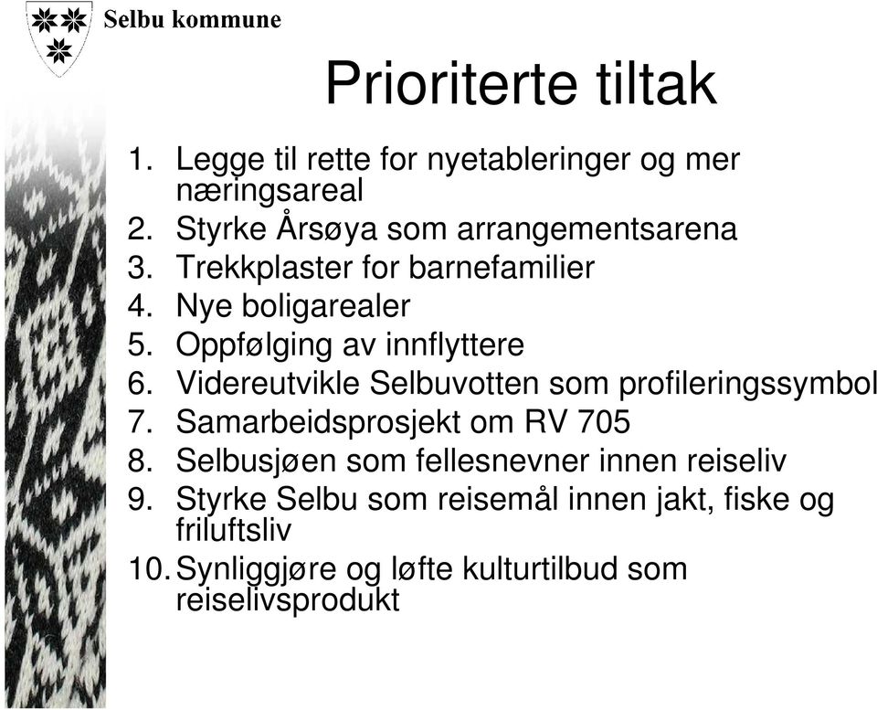 Oppfølging av innflyttere 6. Videreutvikle Selbuvotten som profileringssymbol 7. Samarbeidsprosjekt om RV 705 8.