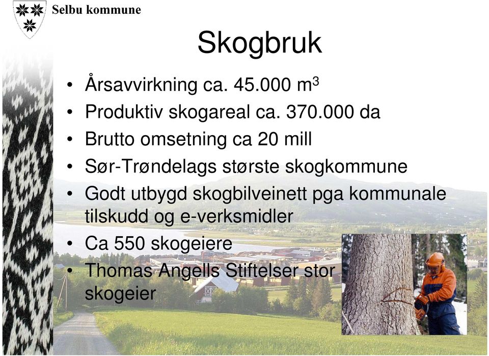 skogkommune Godt utbygd skogbilveinett pga kommunale tilskudd og