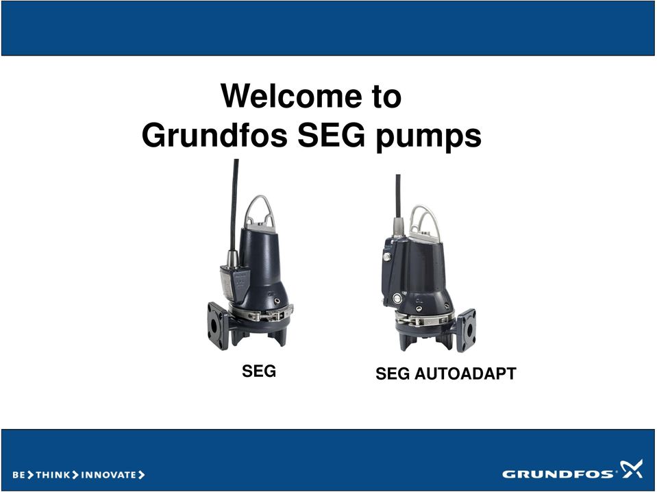 SEG pumps