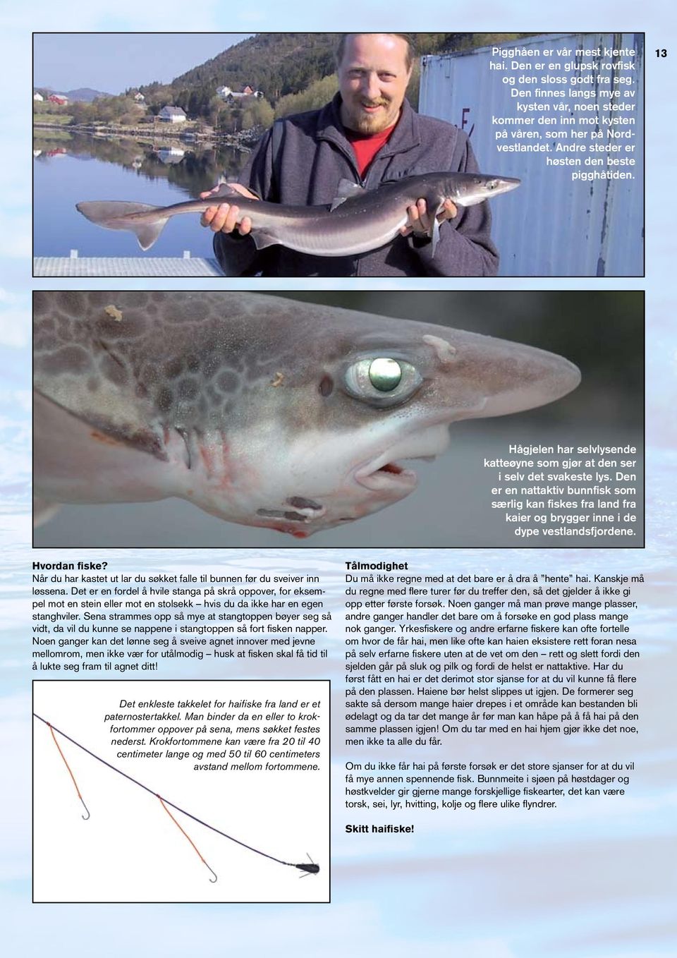 Den er en nattaktiv bunnfisk som særlig kan fiskes fra land fra kaier og brygger inne i de dype vestlandsfjordene. Hvordan fiske?