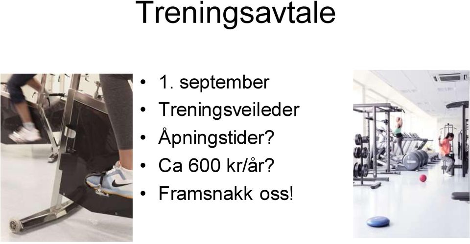 Treningsveileder