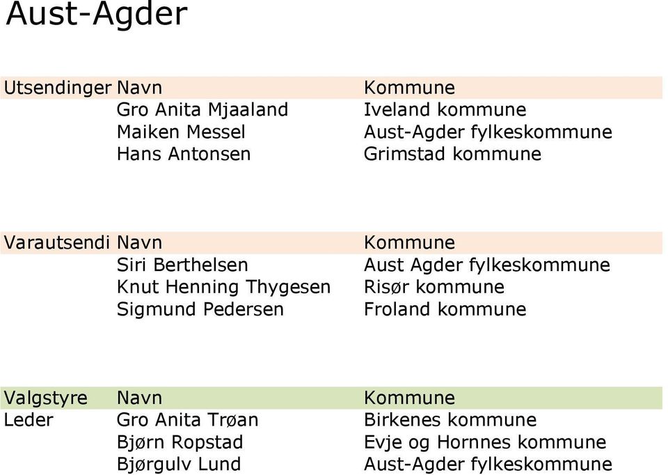 Aust Agder fylkeskommune Risør kommune Froland kommune Valgstyre Navn Leder Gro Anita