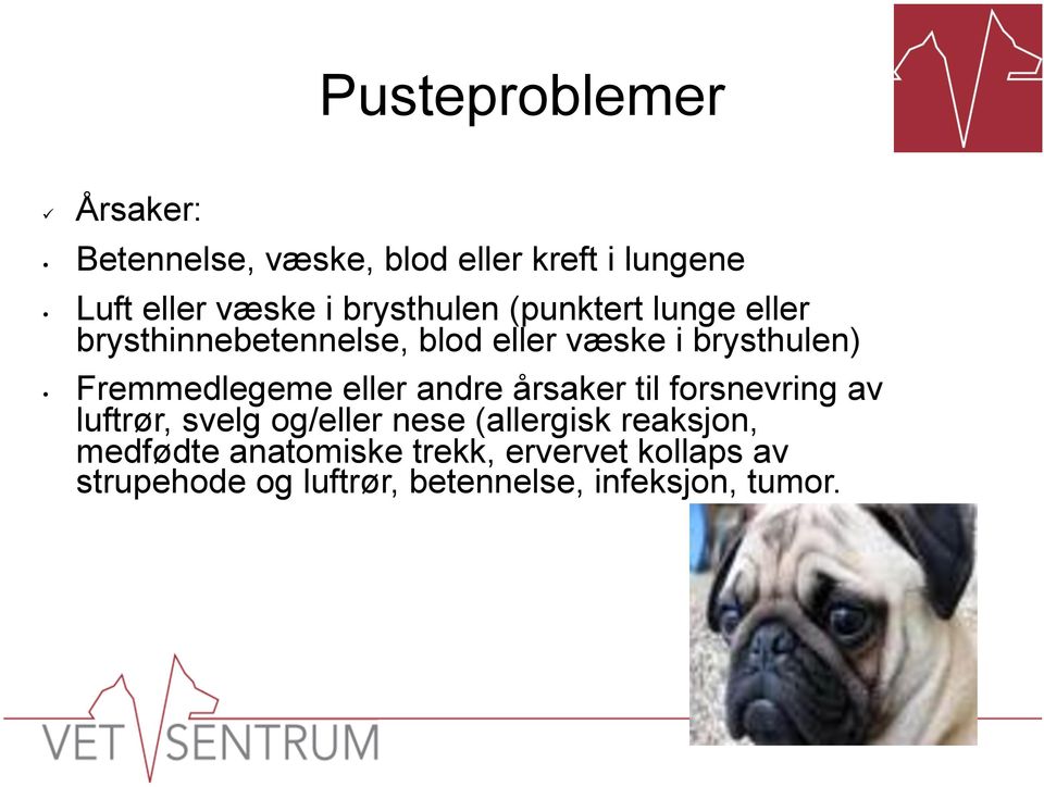 Fremmedlegeme eller andre årsaker til forsnevring av luftrør, svelg og/eller nese (allergisk