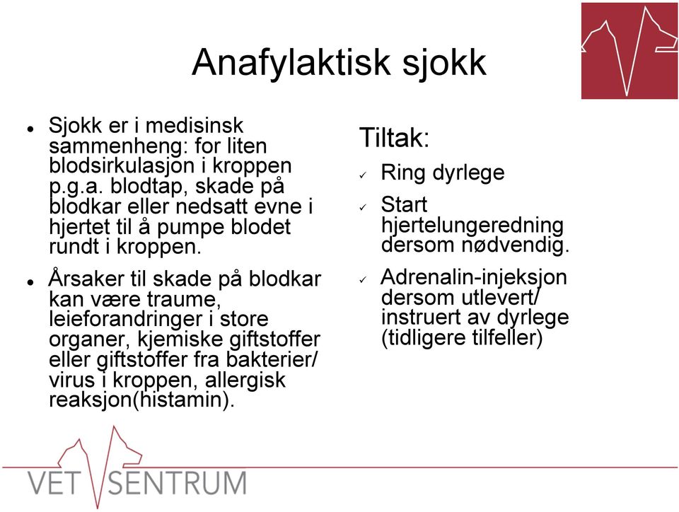 bakterier/ virus i kroppen, allergisk reaksjon(histamin). Tiltak: Ring dyrlege Start hjertelungeredning dersom nødvendig.