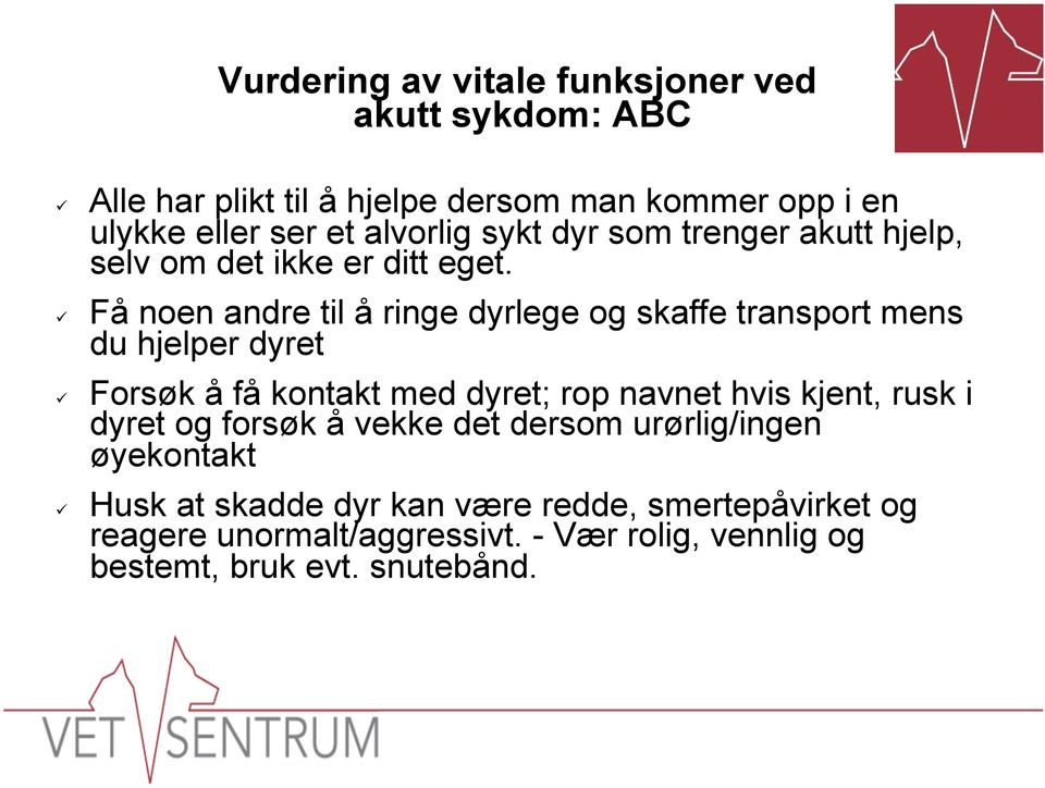 Få noen andre til å ringe dyrlege og skaffe transport mens du hjelper dyret Forsøk å få kontakt med dyret; rop navnet hvis kjent,