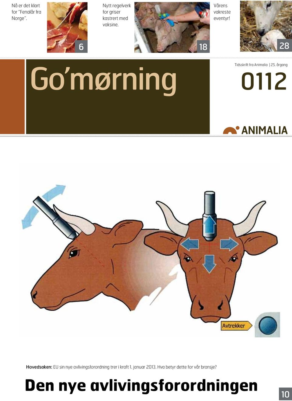 6 18 28 Go mørning Tidsskrift fra Animalia 25.