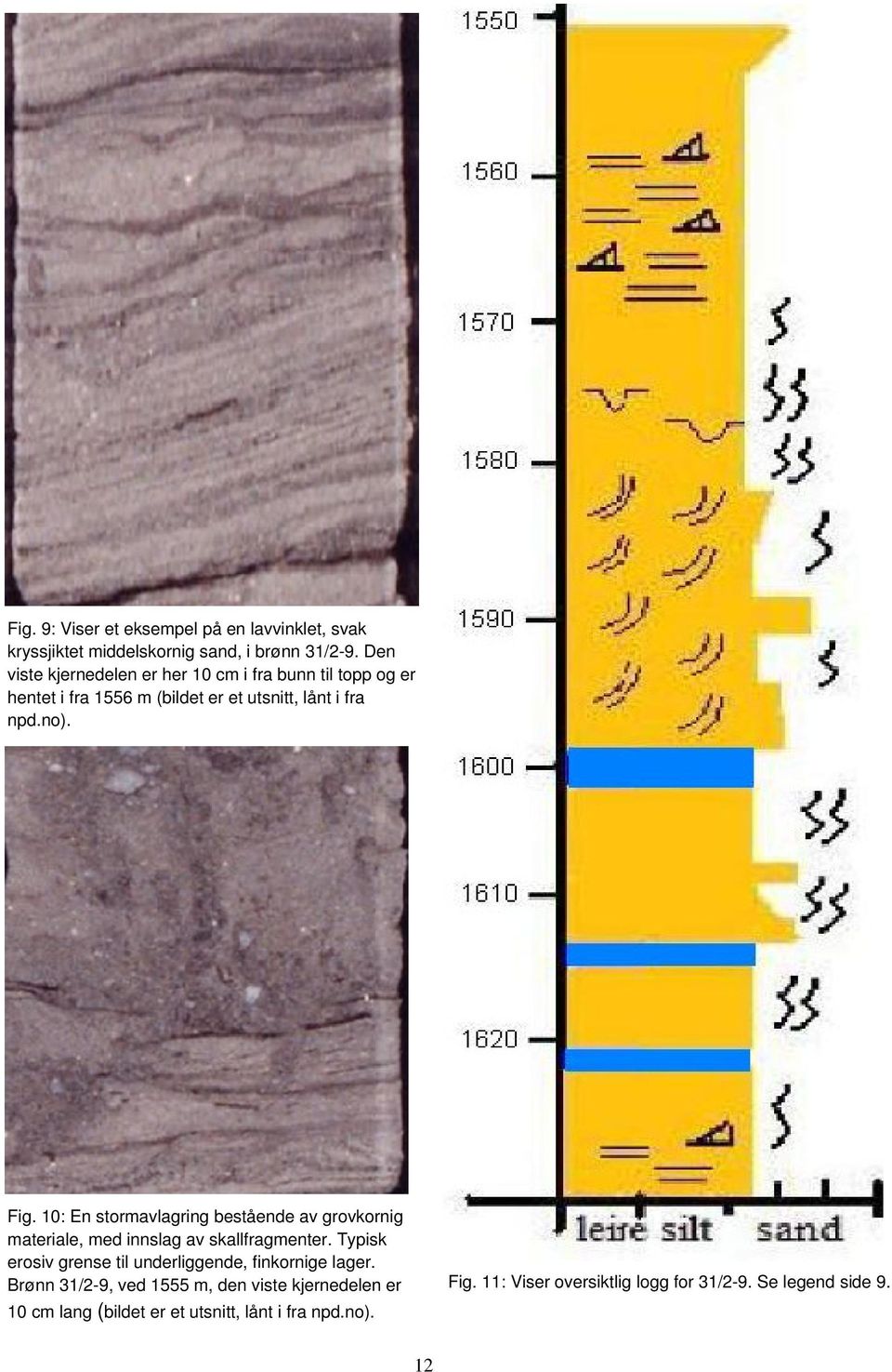 10: En stormavlagring bestående av grovkornig materiale, med innslag av skallfragmenter.