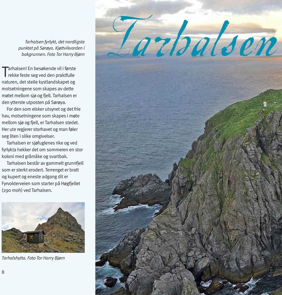 Tarhalsen er den ytterste utposten på Sørøya. For den som elsker utsynet og det frie hav, motsetningene som skapes i møte mellom sjø og fjell, er Tarhalsen stedet.