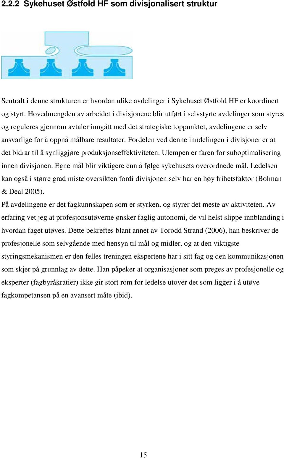 målbare resultater. Fordelen ved denne inndelingen i divisjoner er at det bidrar til å synliggjøre produksjonseffektiviteten. Ulempen er faren for suboptimalisering innen divisjonen.