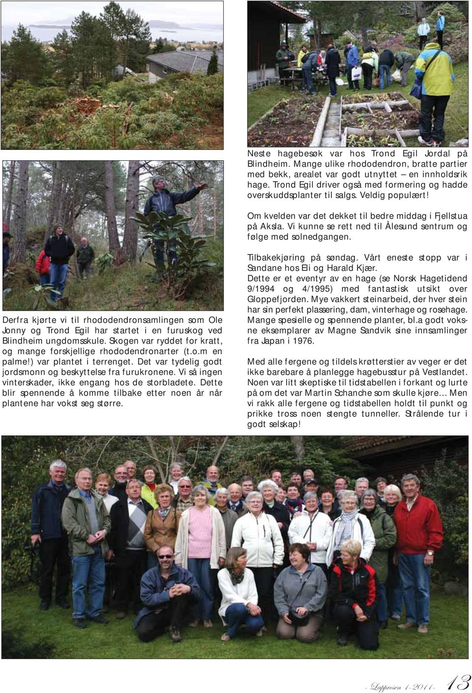 Vi kunne se rett ned til Ålesund sentrum og følge med solnedgangen. Derfra kjørte vi til rhododendronsamlingen som Ole Jonny og Trond Egil har startet i en furuskog ved Blindheim ungdomsskule.