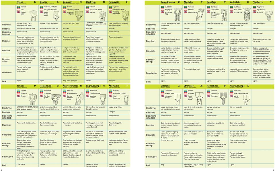 Avena fatua Y Kvickrot Kvik Couchgrass Vårbrodd, luktgräs Vellugtende Gulaks Sweet Vernalgrass Rödven Almindelig Hvene Browntop bentgrass Storven Stortoppet Hvene Red top Krypkven Krybende Hvene