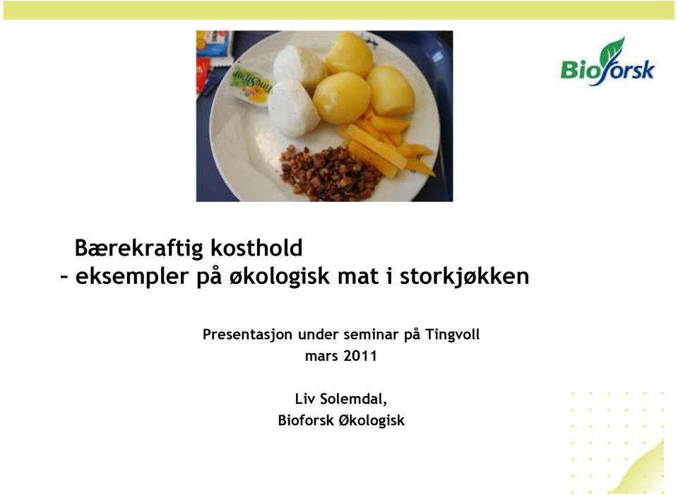 Presentasjon under seminar på