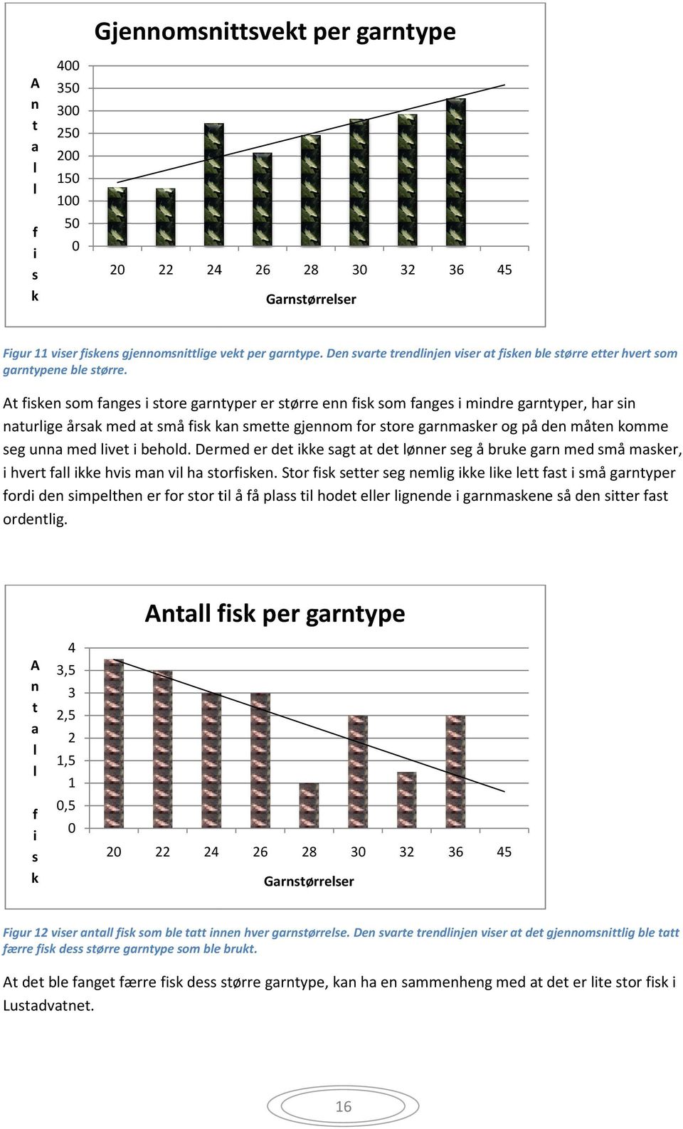 At fisken som fanges i store garntyper er større enn fisk som fanges i mindre garntyper, har sin naturlige årsak med at små fisk kan smette gjennom for store gar garnmasker og på den måten komme seg