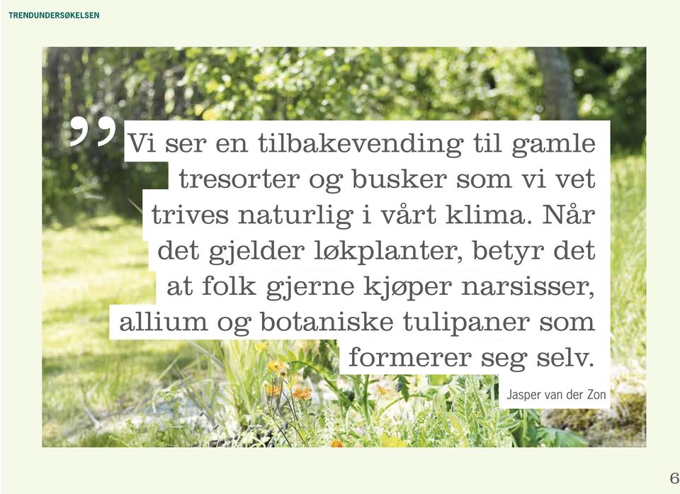 Når det gjelder løkplanter, betyr det at folk gjerne kjøper