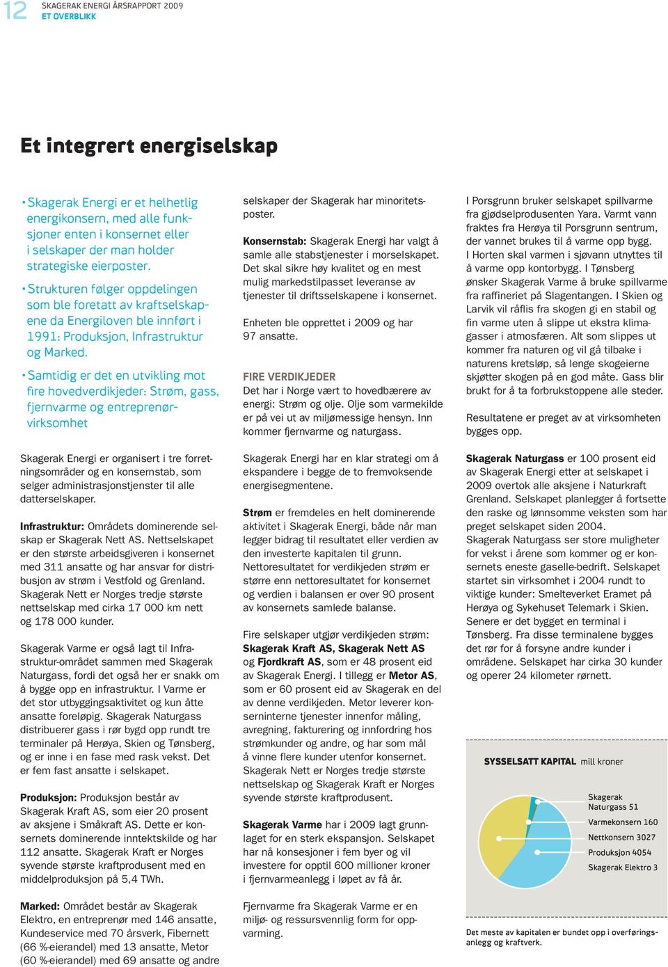 Samtidig er det en utvikling mot fire hovedverdikjeder: Strøm, gass, fjernvarme og entreprenør - virksomhet Skagerak Energi er organisert i tre forretningsområder og en konsernstab, som selger