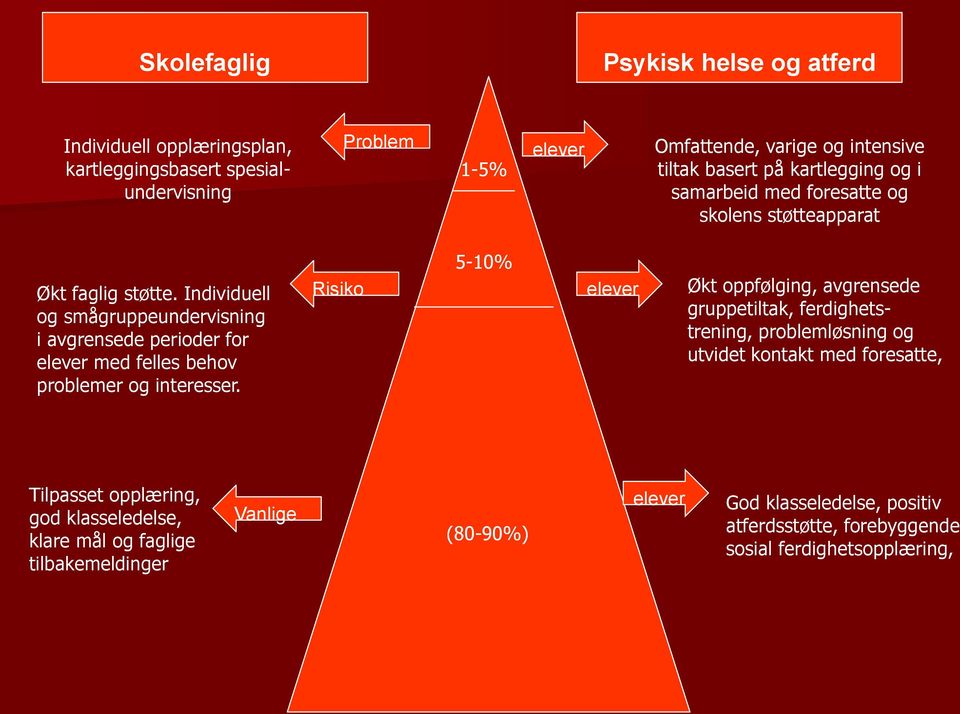 Individuell og smågruppeundervisning i avgrensede perioder for elever med felles behov problemer og interesser.