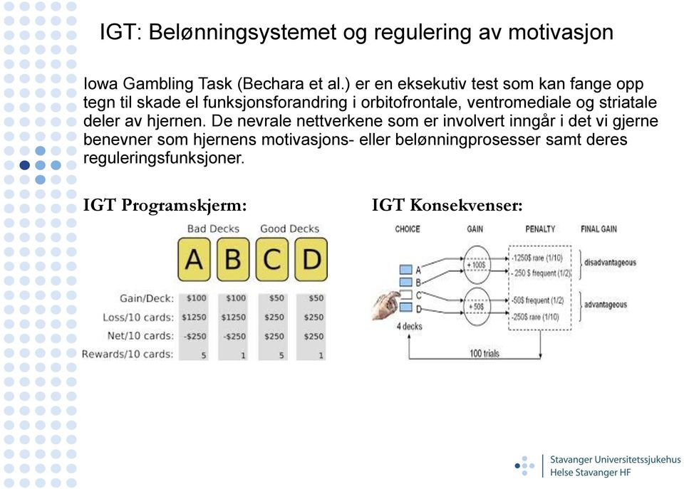 ventromediale og striatale deler av hjernen.