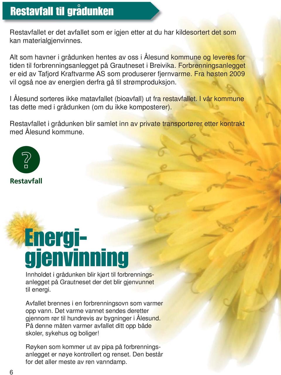 Forbrenningsanlegget er eid av Tafjord Kraftvarme AS som produserer fjernvarme. Fra høsten 2009 vil også noe av energien derfra gå til strømproduksjon.