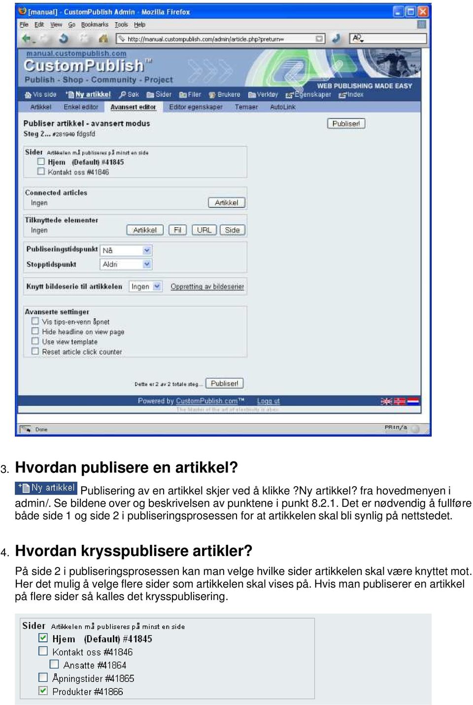 Det er nødvendig å fullføre både side 1 og side 2 i publiseringsprosessen for at artikkelen skal bli synlig på nettstedet. 4.