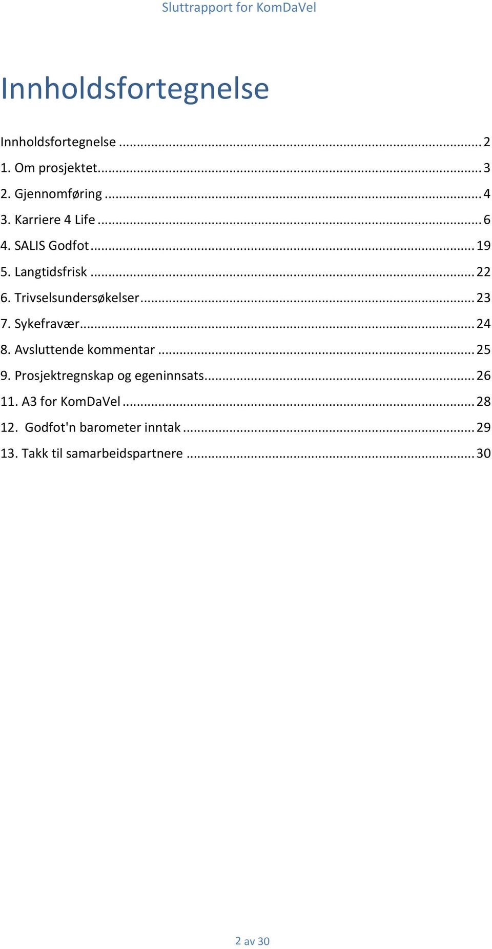 Sykefravær... 24 8. Avsluttende kommentar... 25 9. Prosjektregnskap og egeninnsats... 26 11.