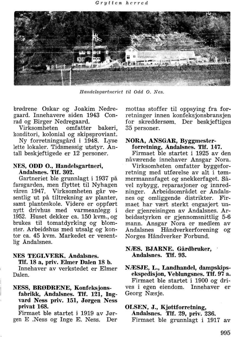 , Ilandelsgartneri, Åndalsnes. TIf.302. Gartneriet ble grunnlagt i 1937 på farsgarden, men flyttet til Nyhagen våren 1947. Virksomheten går vesentlig ut på tiltrekning av planter, samt planteskole.