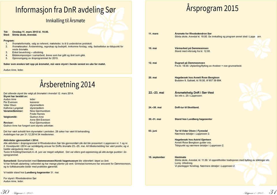 3. Enkel bevertning utlodning. 4. Bildekomposisjon i samarbeid, årene som har gått og året som gikk. 5. Gjennomgang av årsprogrammet for 2015.