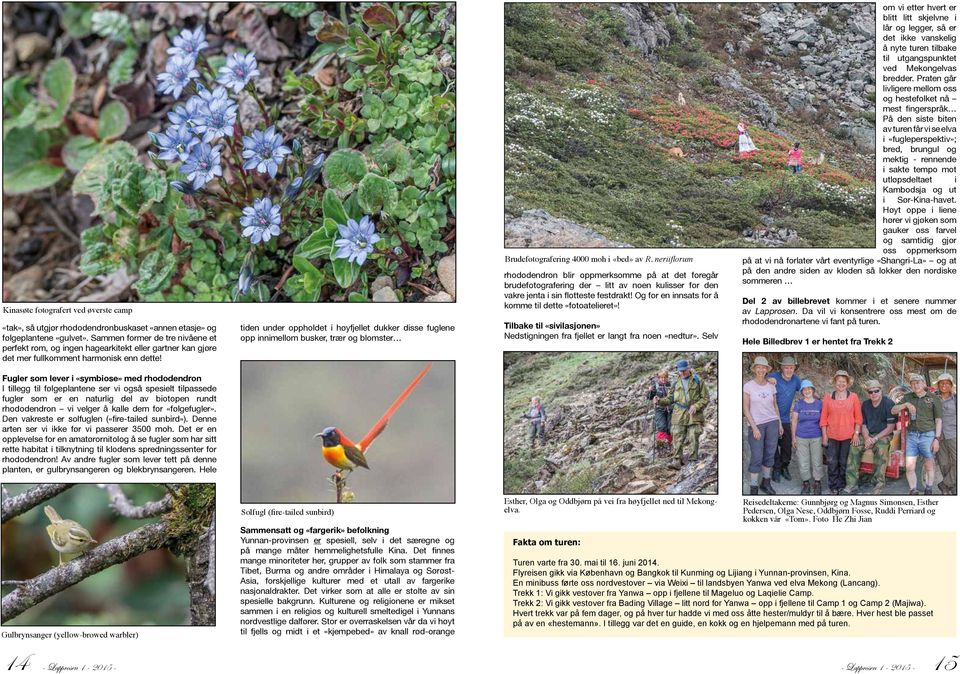 tiden under oppholdet i høyfjellet dukker disse fuglene opp innimellom busker, trær og blomster Brudefotografering 4000 moh i «bed» av R.