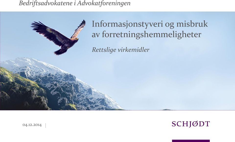 Informasjonstyveri og misbruk av