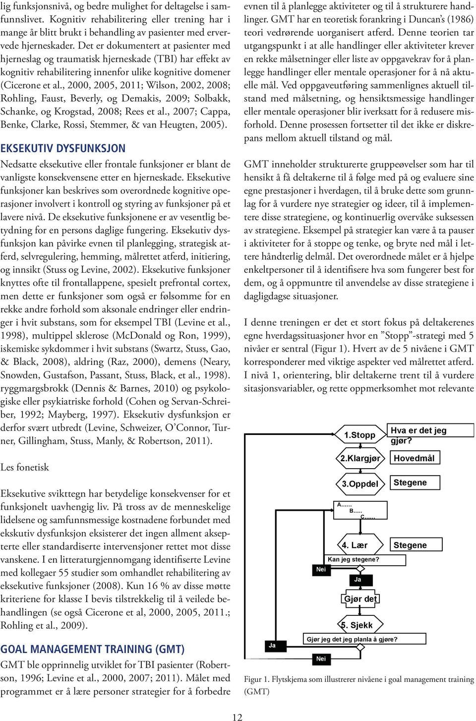 , 2000, 2005, 2011; Wilson, 2002, 2008; Rohling, Faust, Beverly, og Demakis, 2009; Solbakk, Schanke, og Krogstad, 2008; Rees et al., 2007; Cappa, Benke, Clarke, Rossi, Stemmer, & van Heugten, 2005).