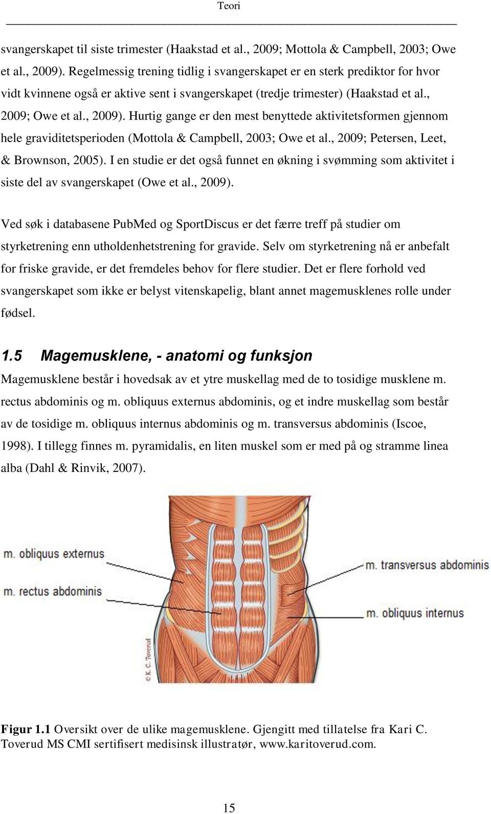 Hurtig gange er den mest benyttede aktivitetsformen gjennom hele graviditetsperioden (Mottola & Campbell, 2003; Owe et al., 2009; Petersen, Leet, & Brownson, 2005).