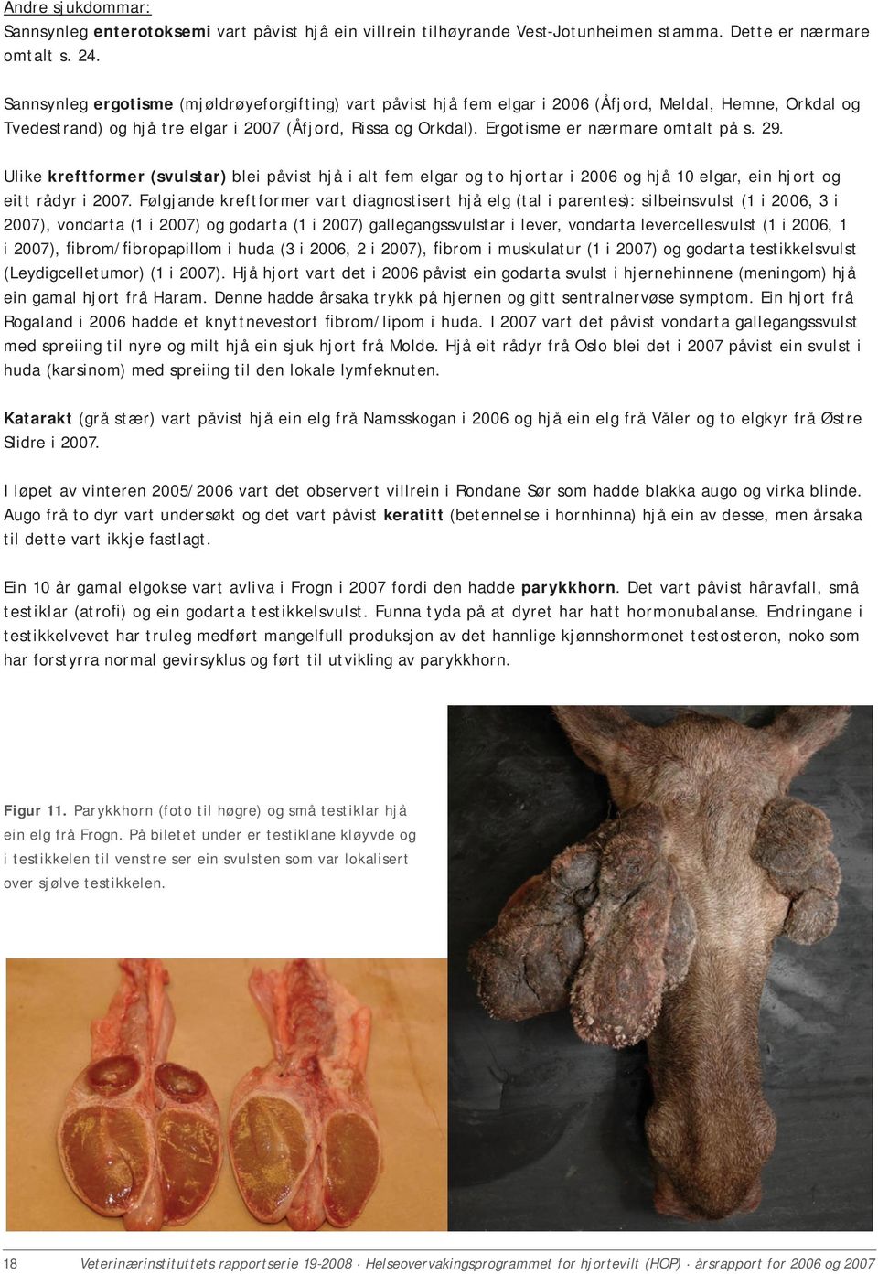 Ergotisme er nærmare omtalt på s. 29. Ulike kreftformer (svulstar) blei påvist hjå i alt fem elgar og to hjortar i 2006 og hjå 10 elgar, ein hjort og eitt rådyr i 2007.