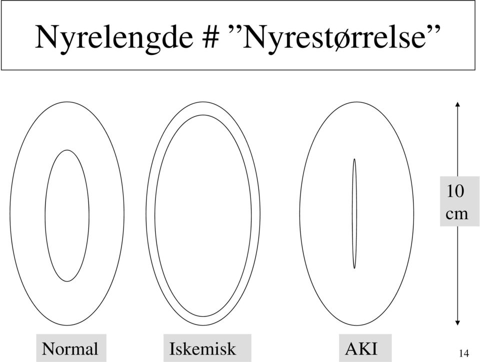 10 cm Normal