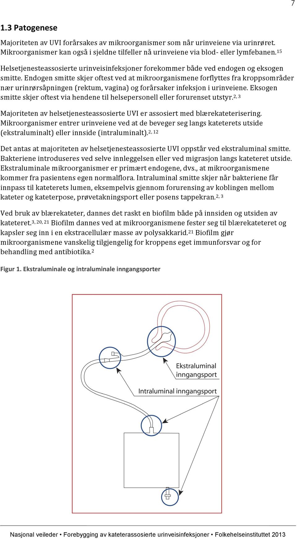 Endogen smitte skjer oftest ved at mikroorganismene forflyttes fra kroppsområder nær urinrørsåpningen (rektum, vagina) og forårsaker infeksjon i urinveiene.