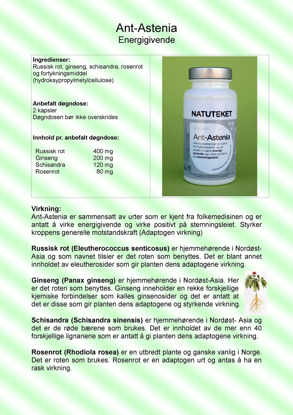 anbefalt døgndose: Russisk rot Ginseng Schisandra Rosenrot 400 mg 200 mg 120 mg 80 mg Ant-Astenia er sammensatt av urter som er kjent fra folkemedisinen og er antatt å virke energigivende og virke