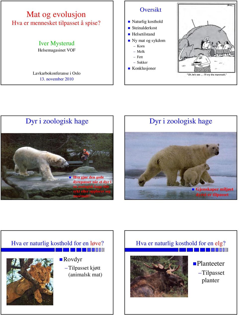 hage Dyr i zoologisk hage Hva gjør den gode dyrepasser når et dyr i en zoologisk hage blir sykt eller oppfører seg unormalt?