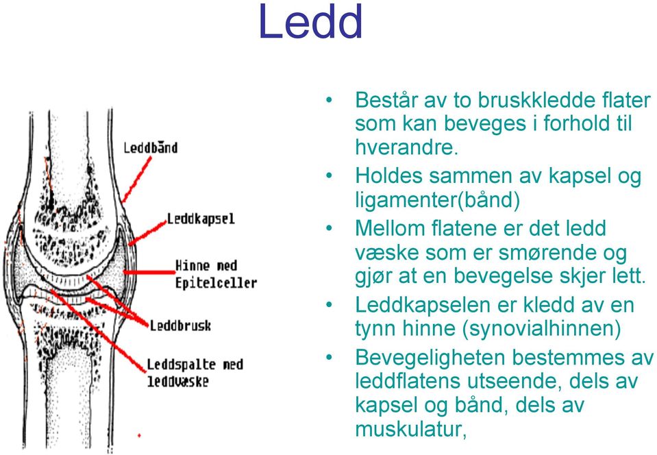 smørende og gjør at en bevegelse skjer lett.