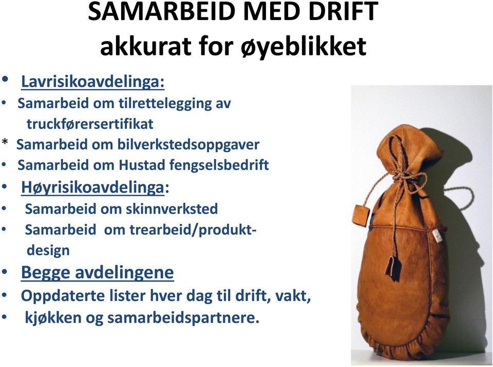 Hustad fengselsbedrift Høyrisikoavdelinga: Samarbeid om skinnverksted Samarbeid om