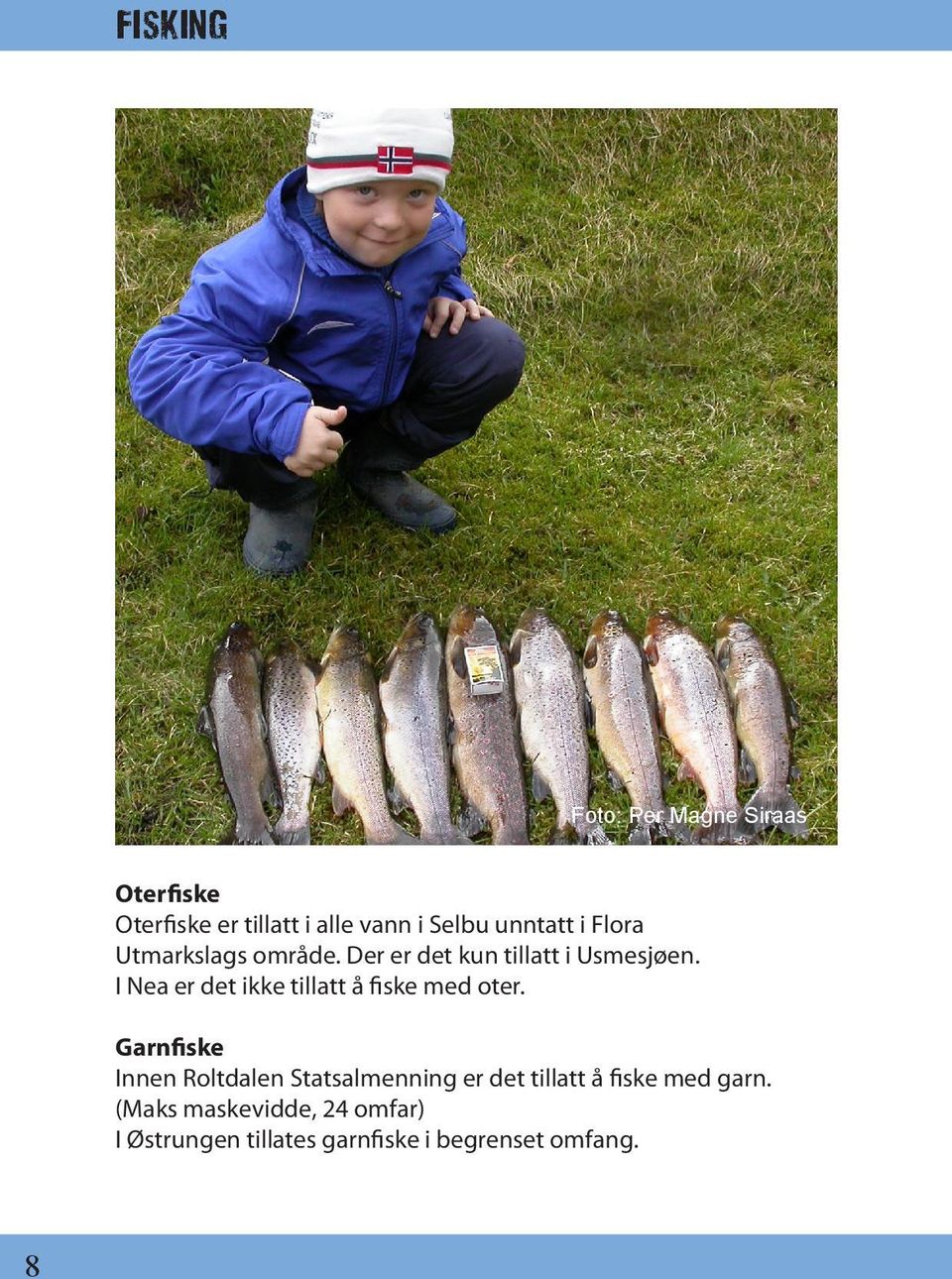 I Nea er det ikke tillatt å fiske med oter.