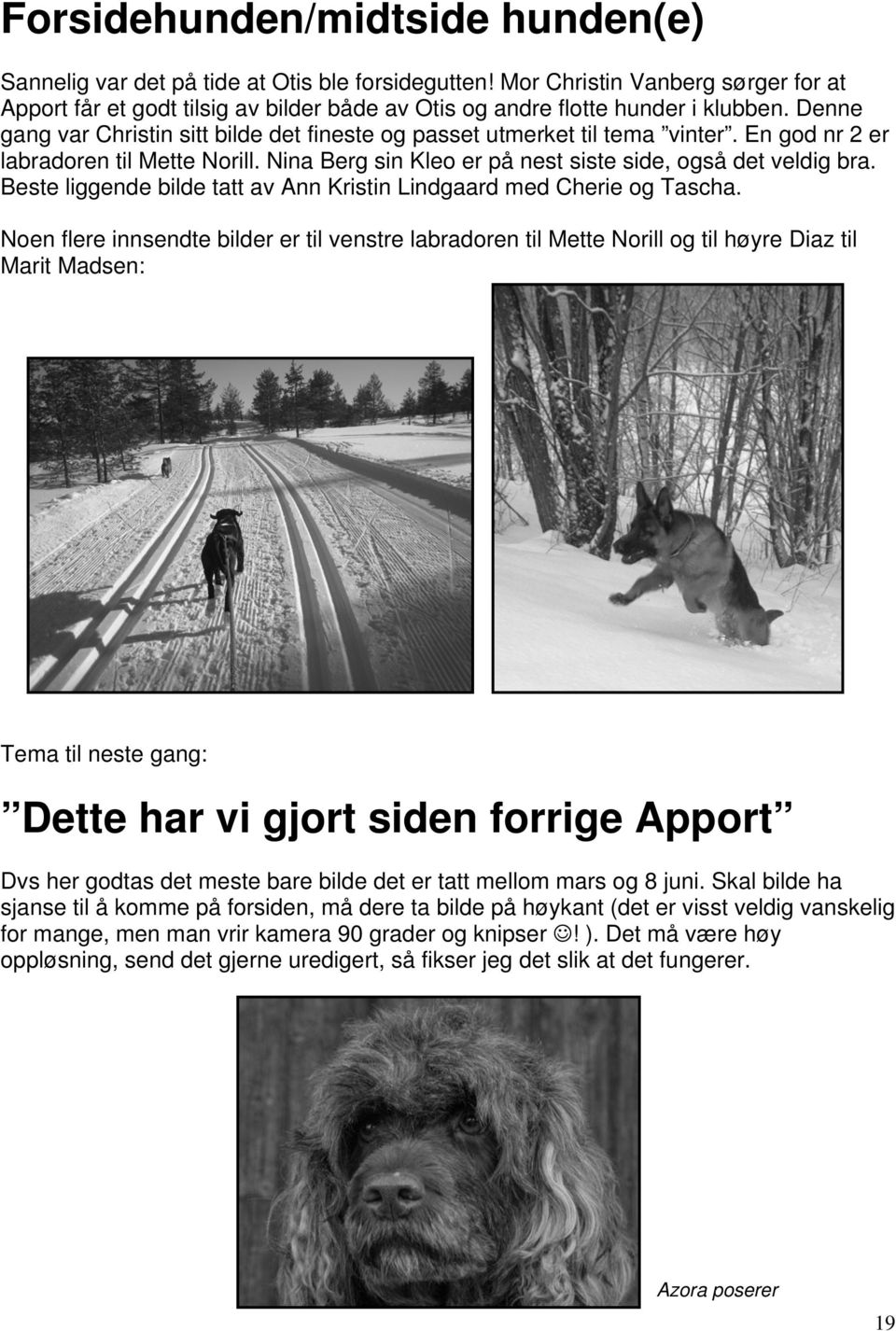 En god nr 2 er labradoren til Mette Norill. Nina Berg sin Kleo er på nest siste side, også det veldig bra. Beste liggende bilde tatt av Ann Kristin Lindgaard med Cherie og Tascha.