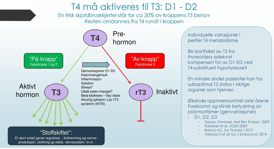 Beta-blokkere høy dose Alvorlig sykdom: Lav tt3 syndrom (NTIS) Prehormon Av-knapp Dejodinase 3 rt3 Inaktivt Individuelle variasjoner i perifer T4 metabolisme Blir bortfallet av T3 fra thyreoidea