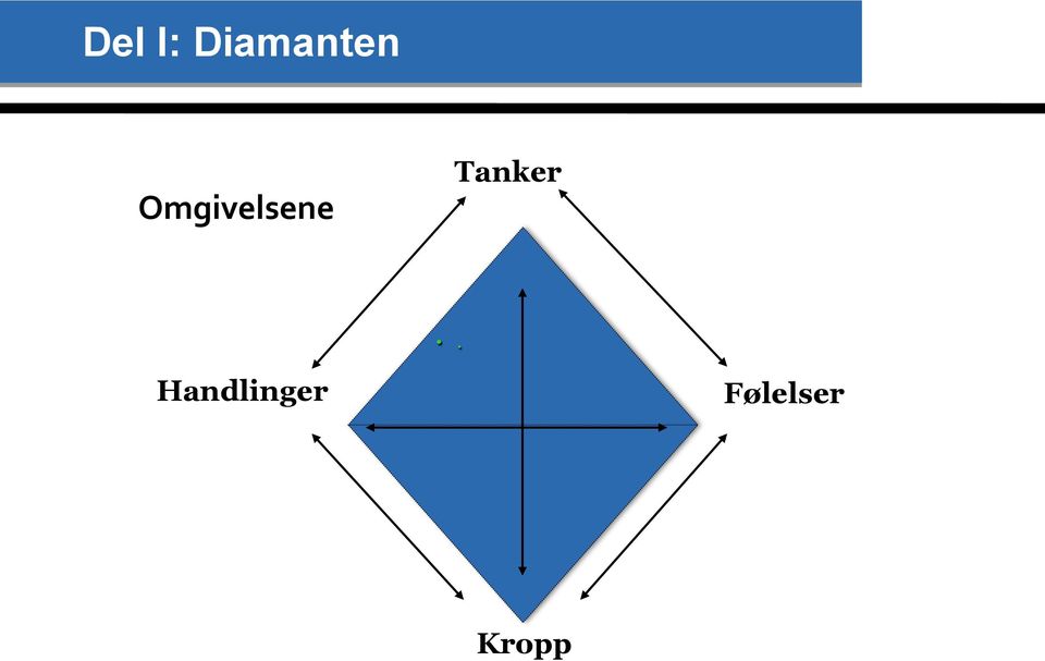 Omgivelsene